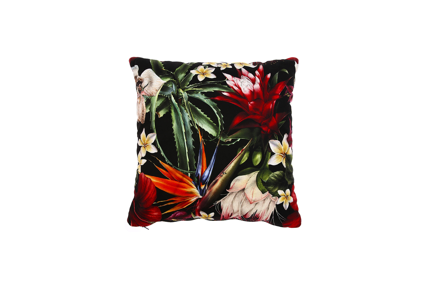 CUSHIONS